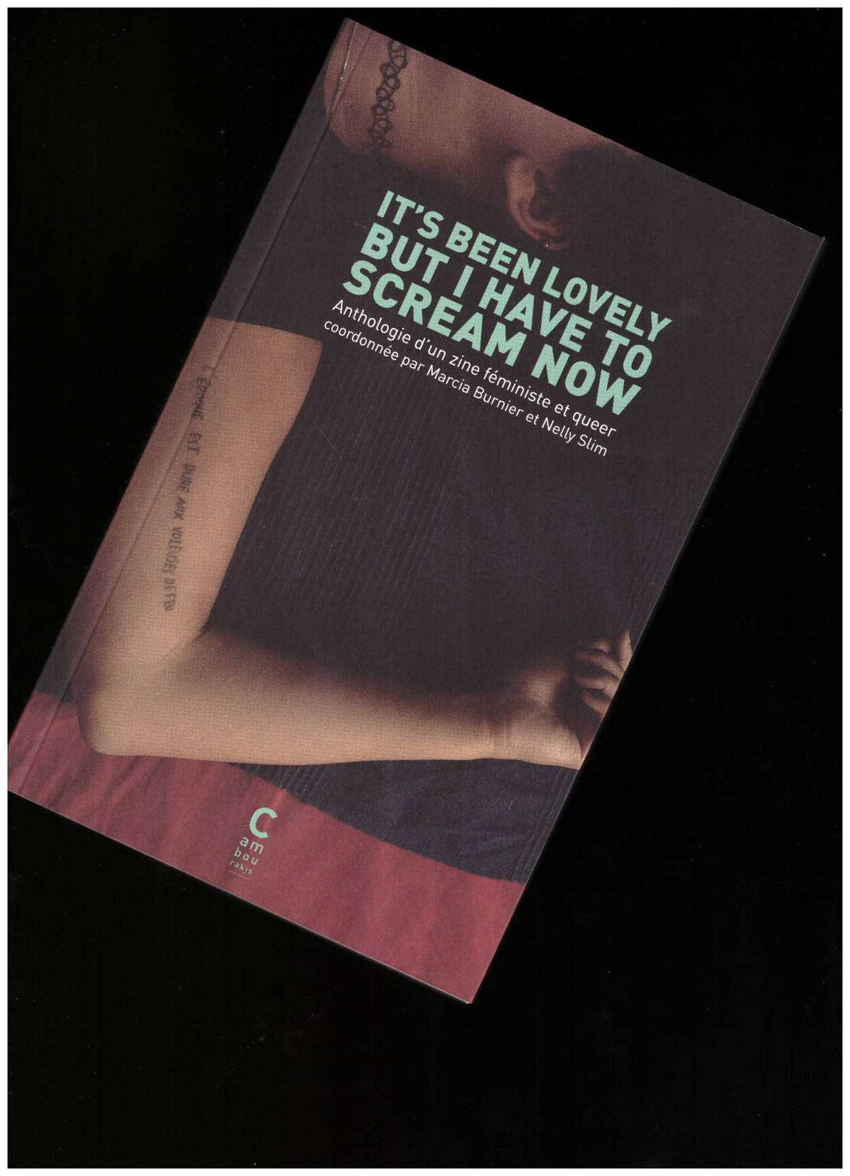 It’s Been Lovely But I Have to Scream Now. Anthologie d'un zine féministe et queer