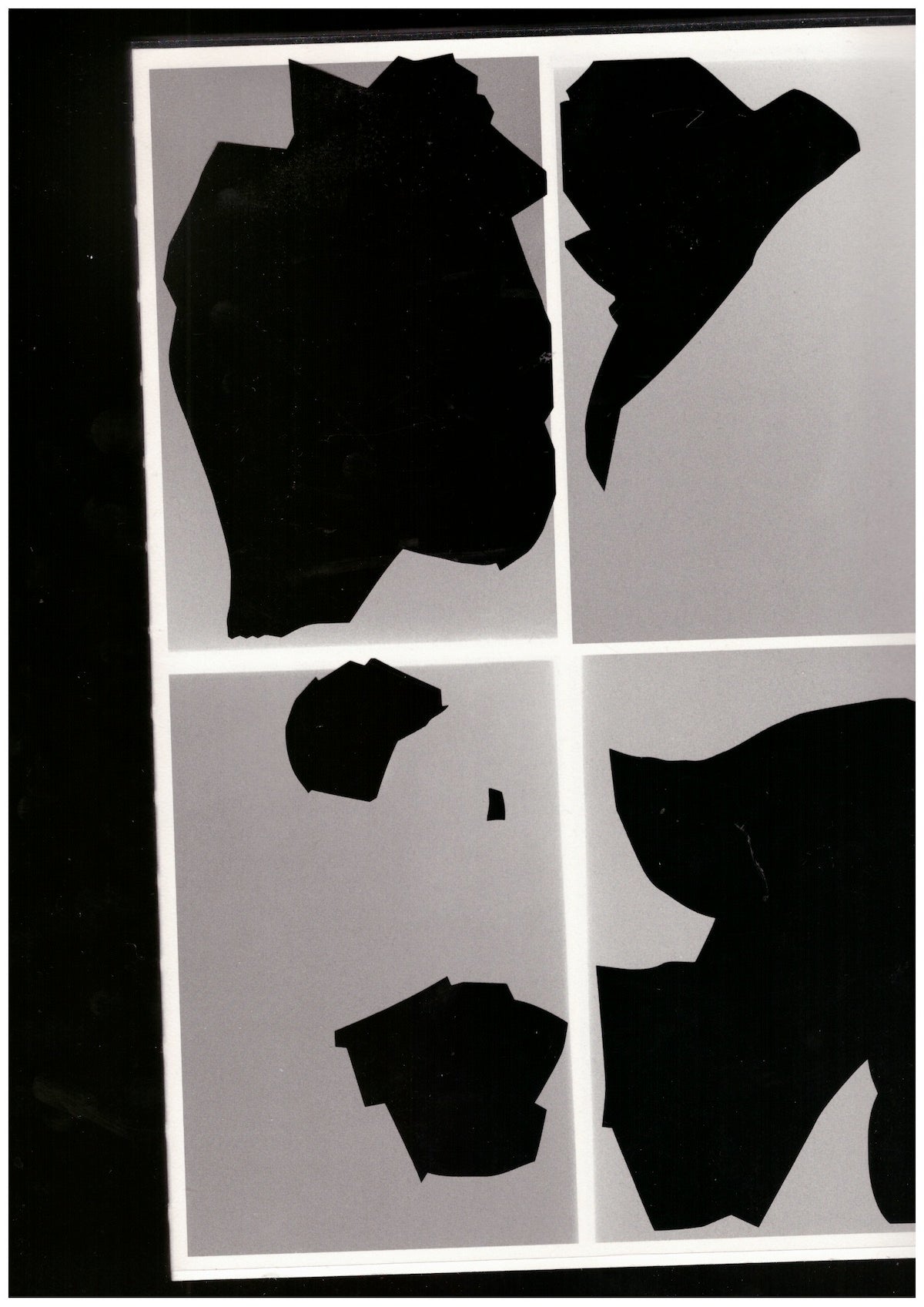 Bird shaped vinyl