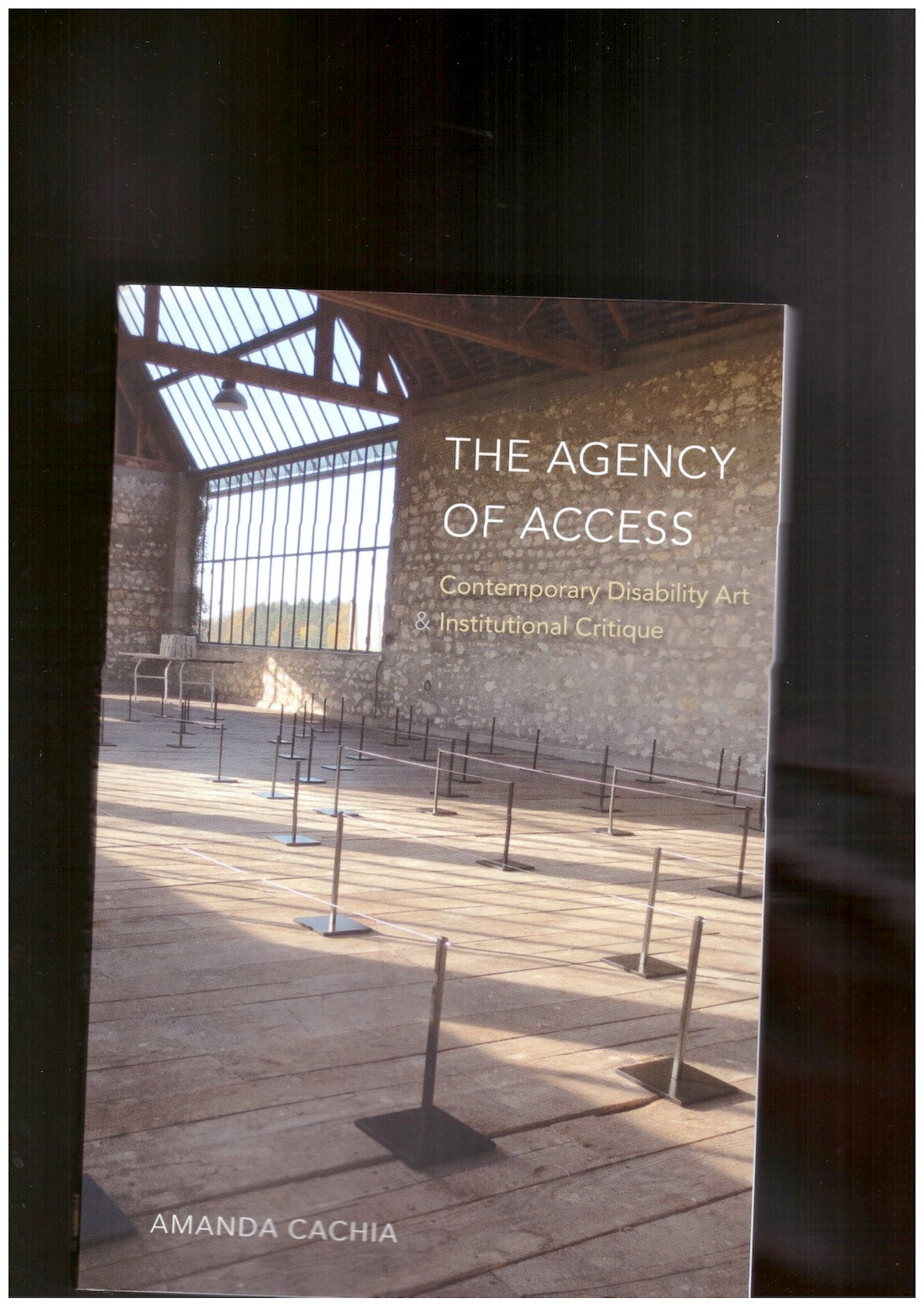 The Agency of Access. Contemporary Disability Art & Institutional Critique