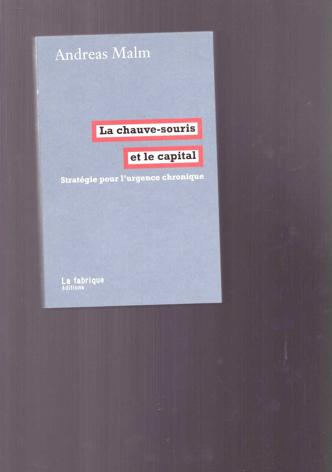 La chauve-souris et le capital