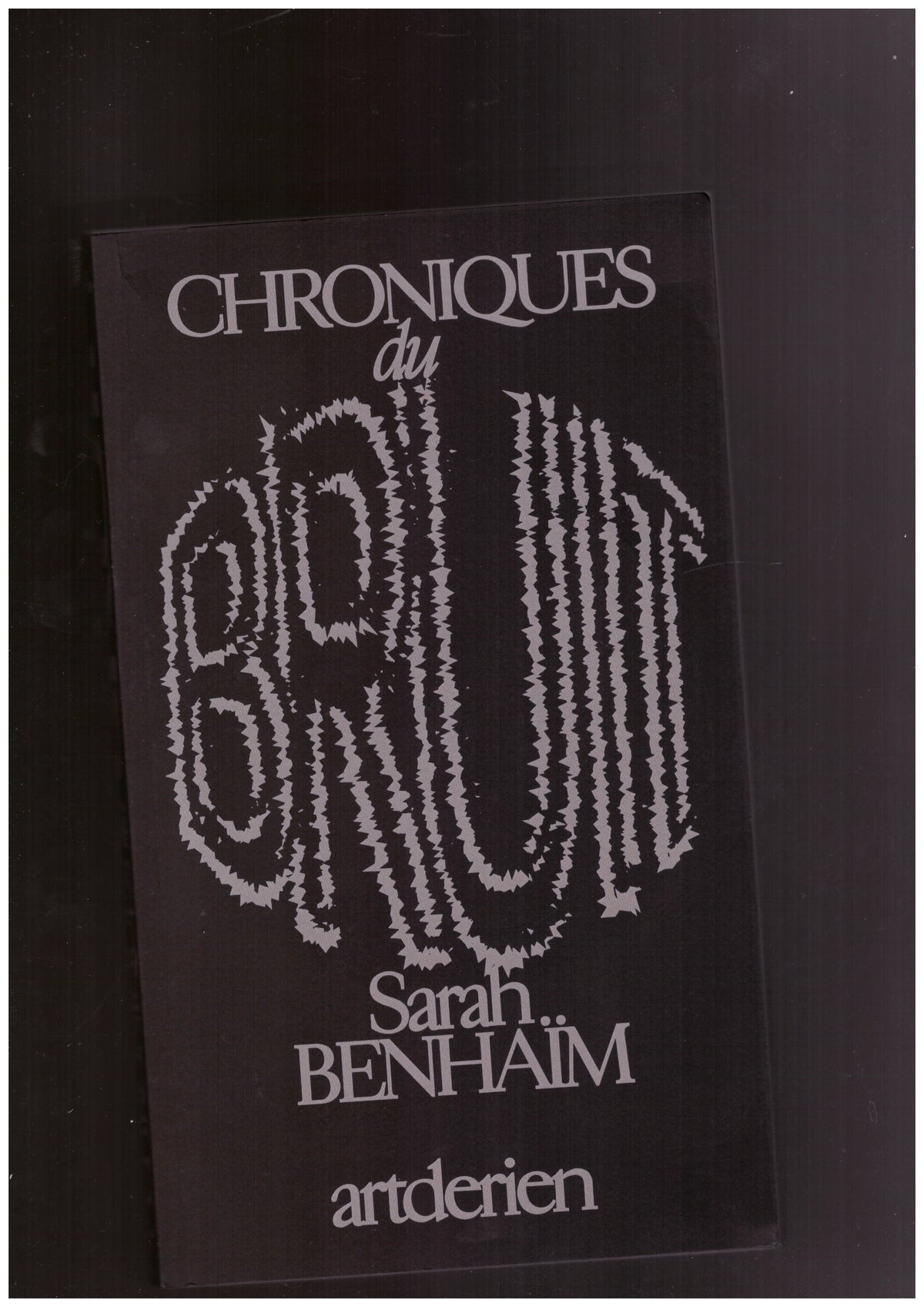 Chroniques du Bruit
