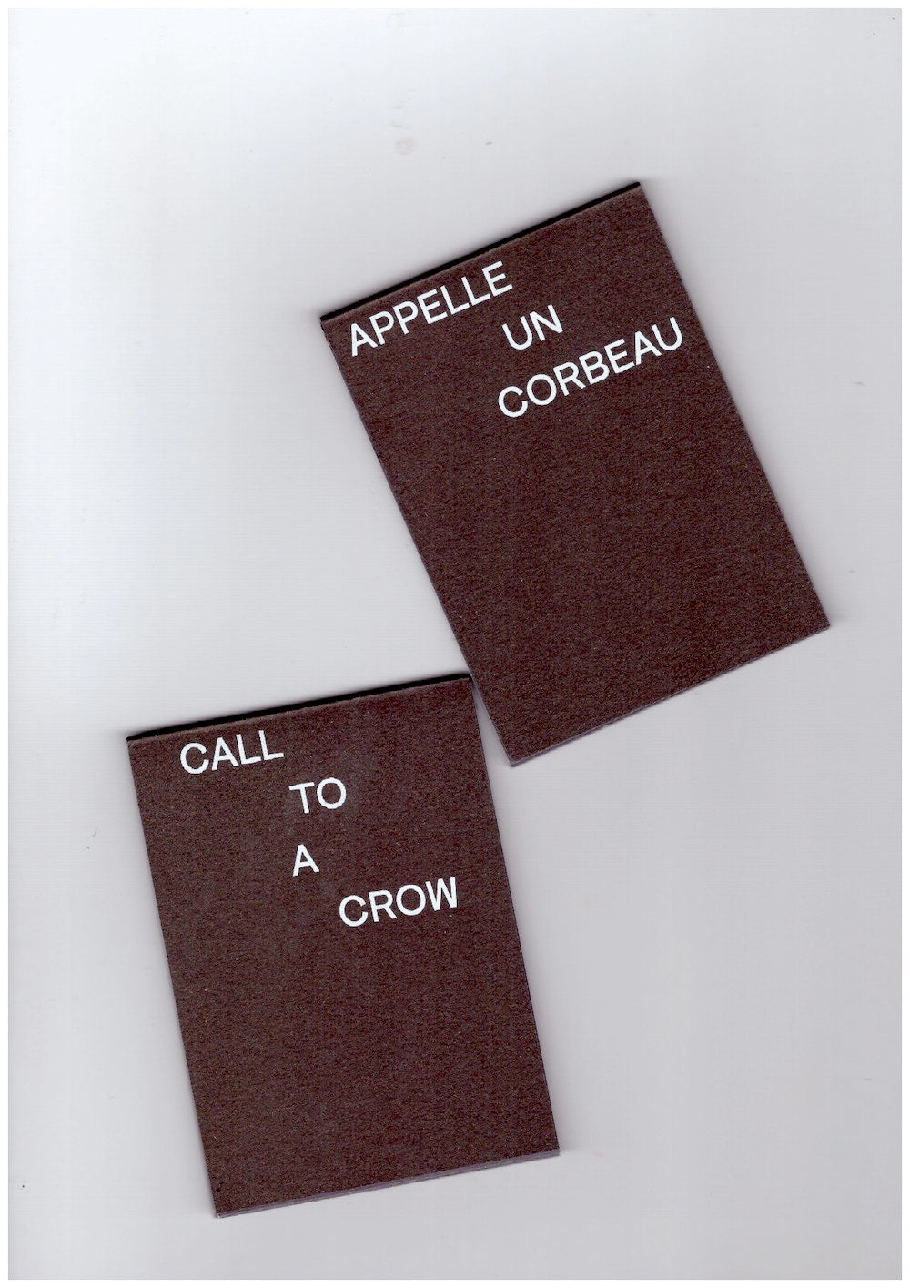 Call To A Crow / Appelle un corbeau
