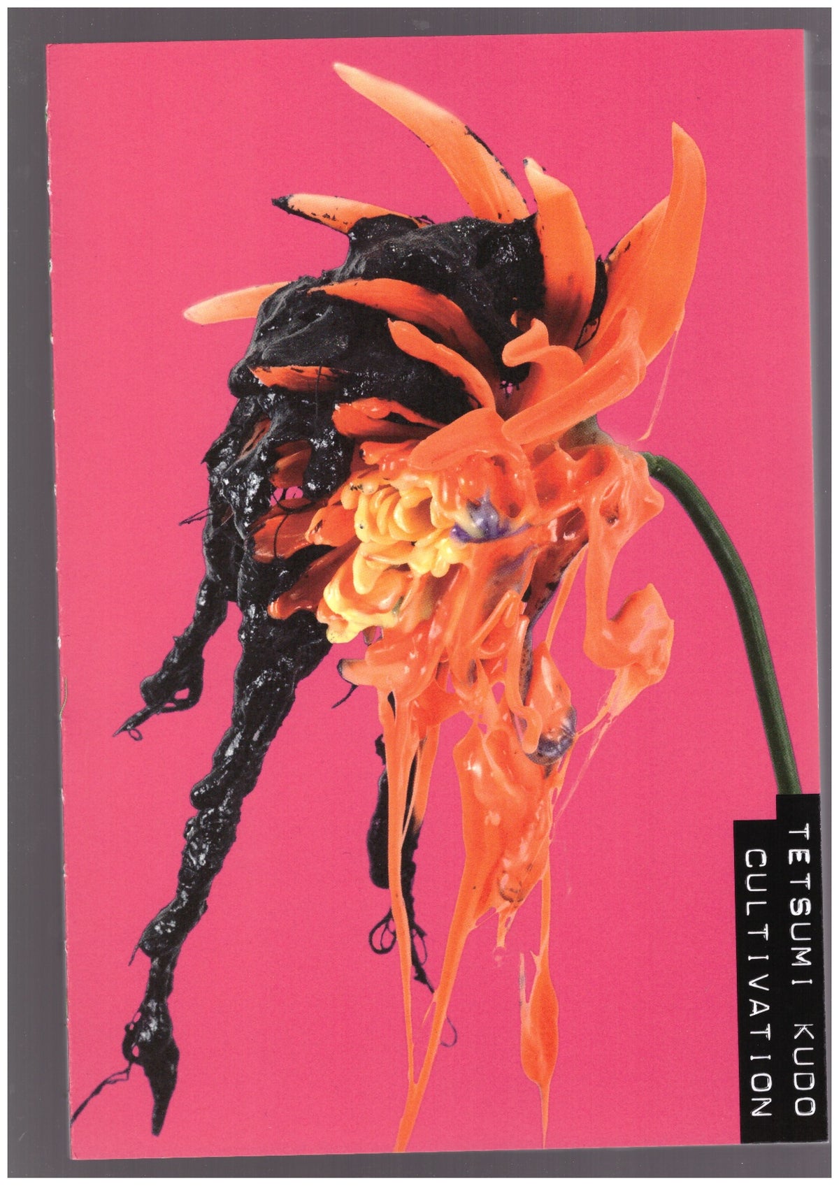 Tetsumi Kudo. Cultivation