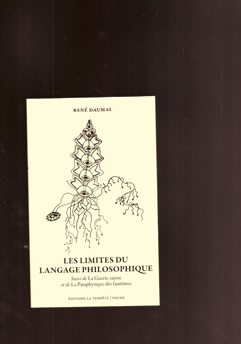 Les limites du langage philosophique [nouvelle édition]