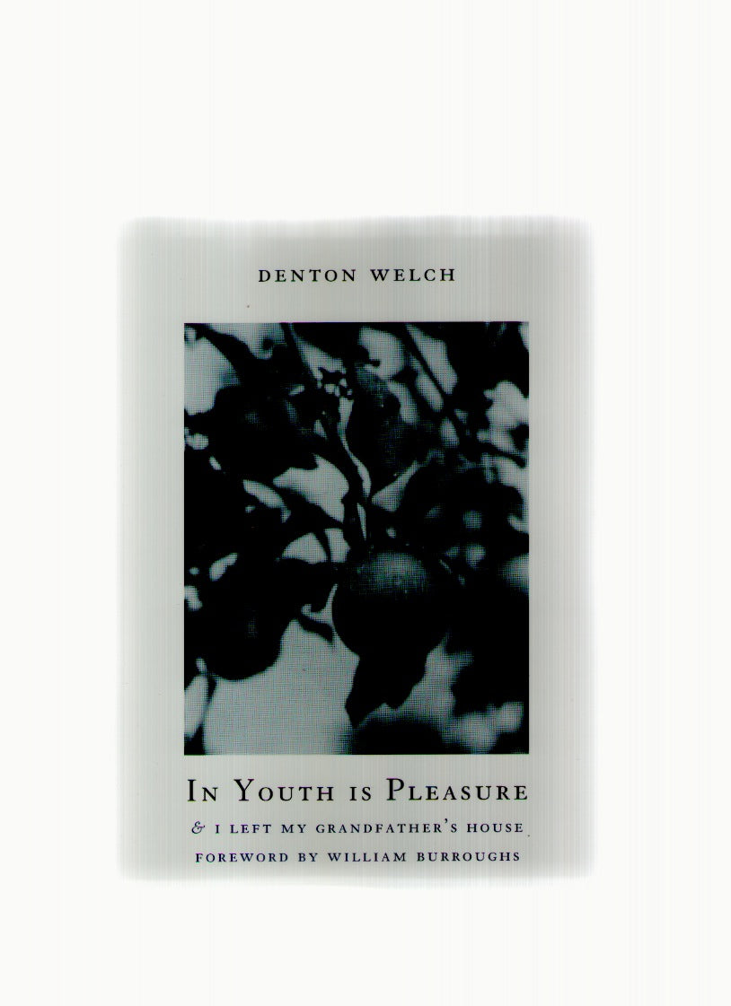 In Youth Is Pleasure