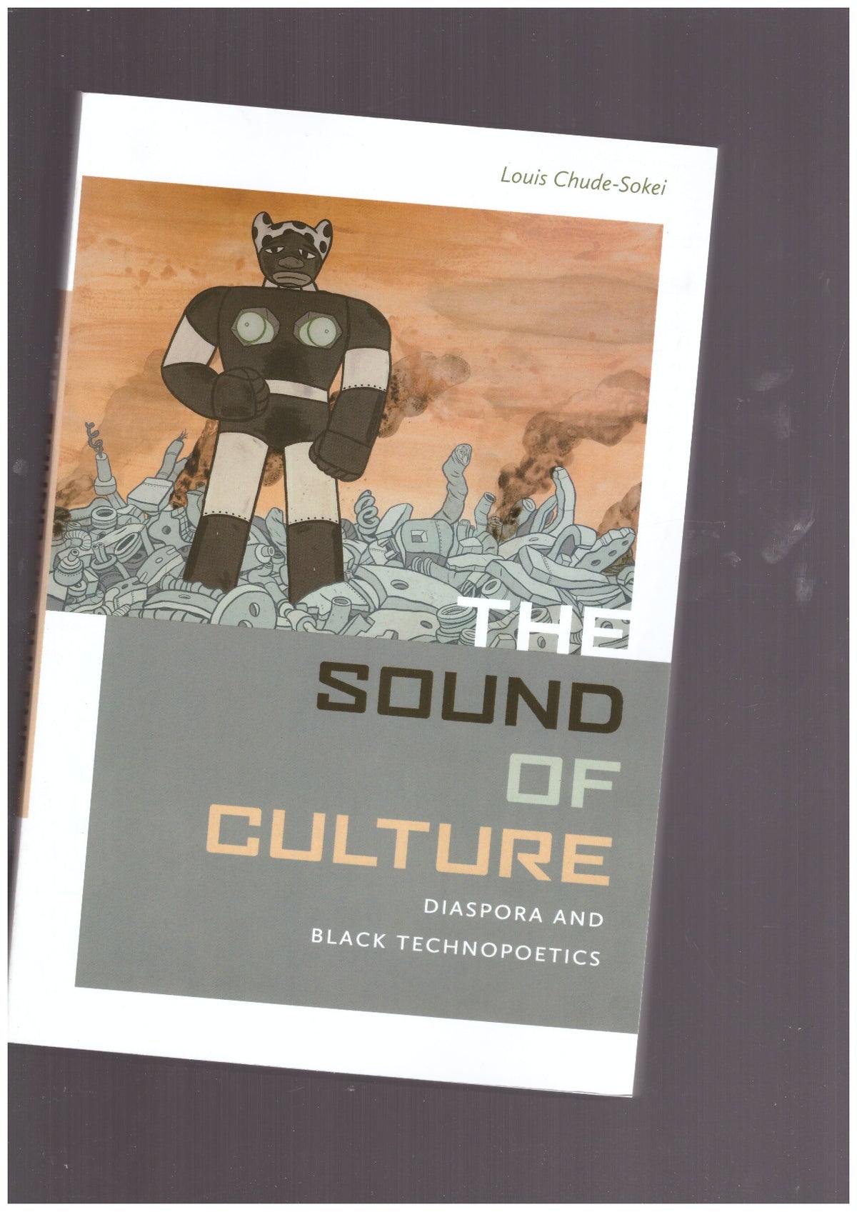 The Sound of Culture. Diaspora and Black Technopoetics