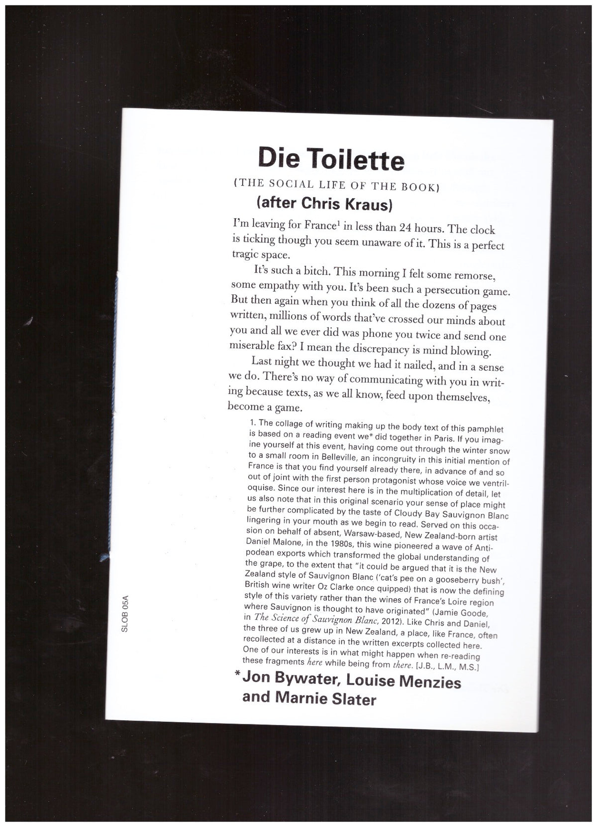 The Social Life of the Book #5 - Die Toilette (after Chris Kraus)
