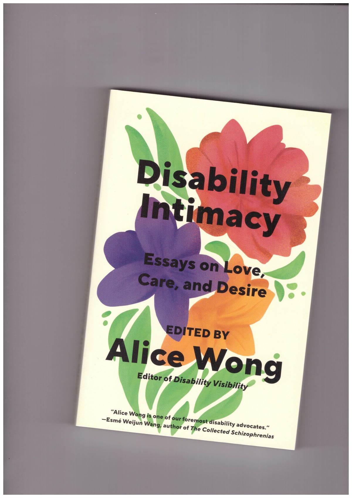 Disability Intimacy. Essays on Love, Care, and Desire