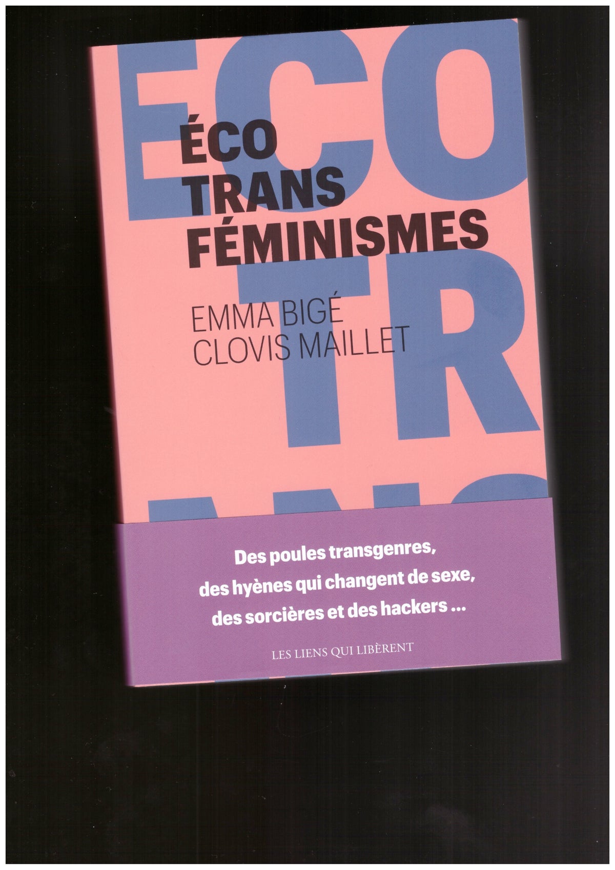 Écotransféminismes