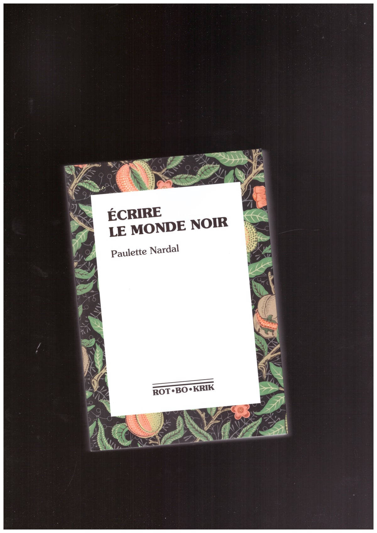 Écrire le monde noir
