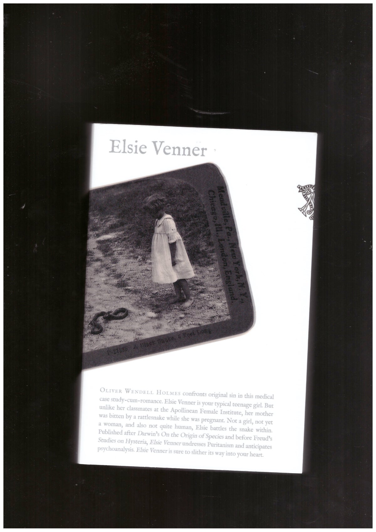 Elsie Venner