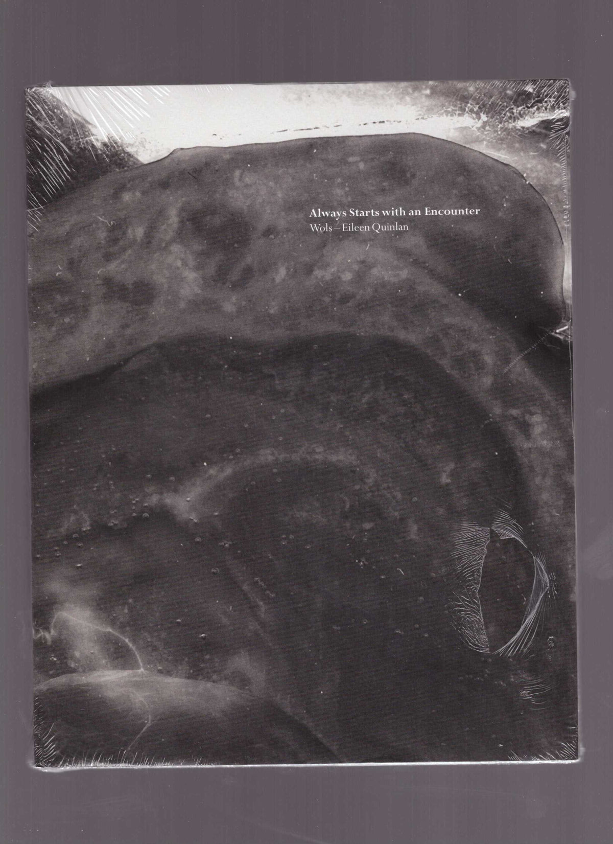 Always Starts with an Encounter: Wols—Eileen Quinlan