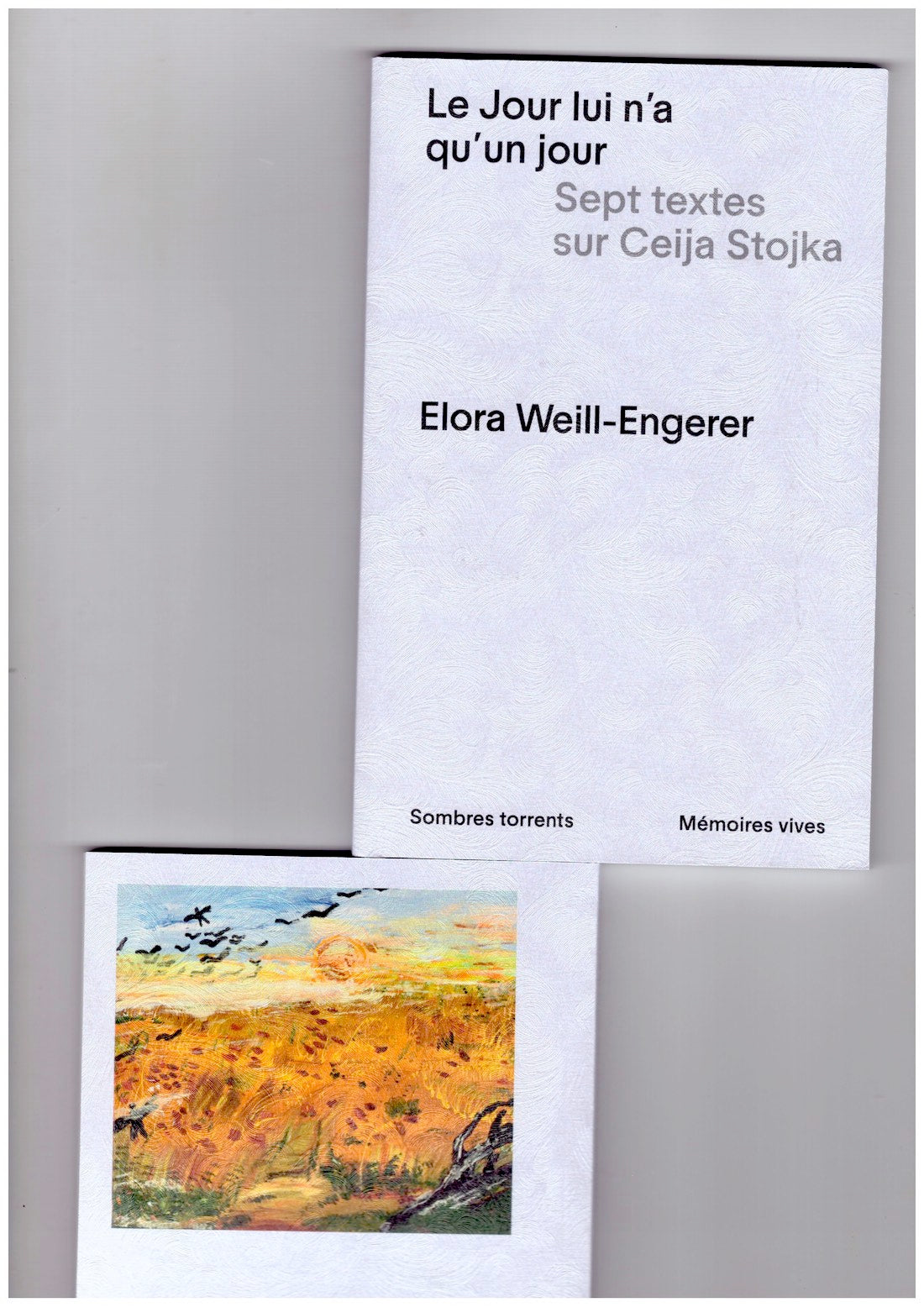 Le Jour lui n’a qu’un jour. Sept textes sur Ceija Stojka