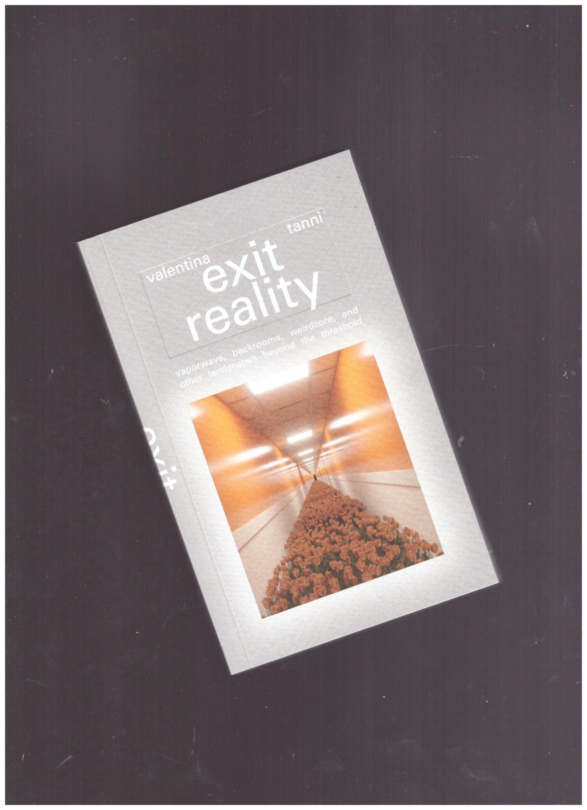 Exit Reality. Vaporwave, Backrooms, Weirdcore, and Other Landscapes Beyond the Threshold