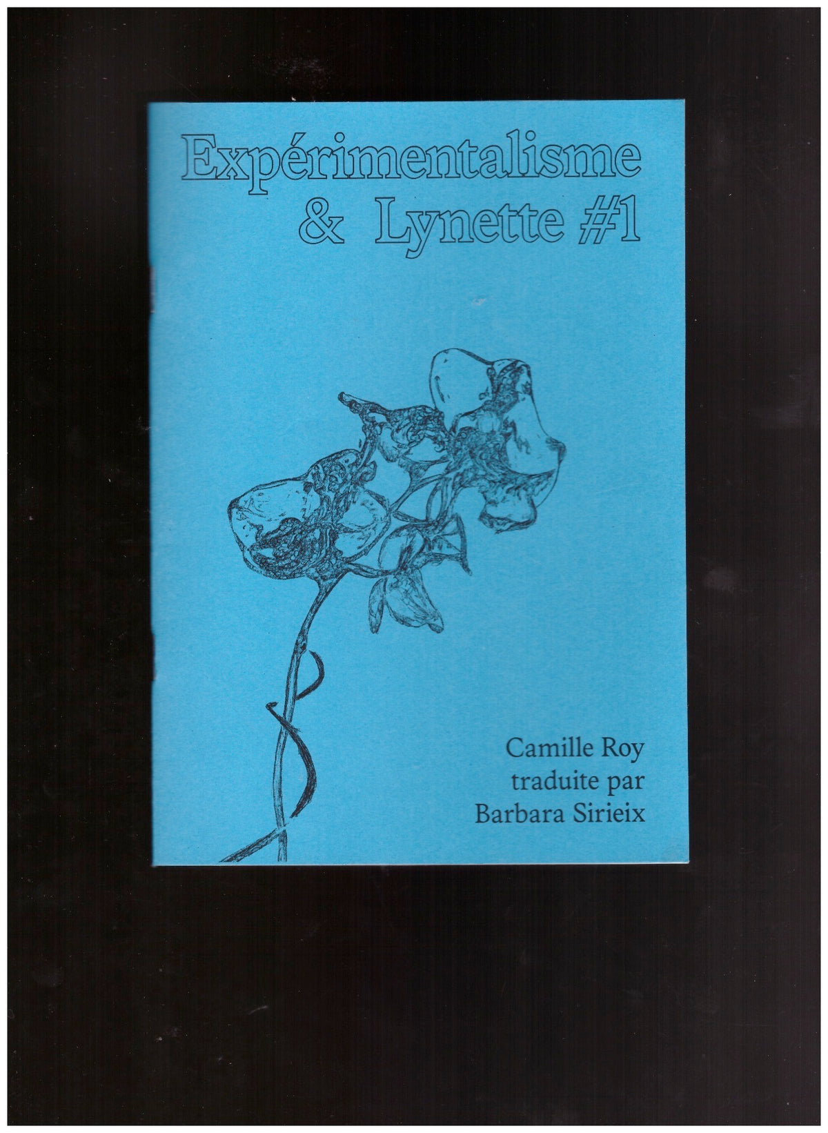 Expérimentalisme & Lynette #1
