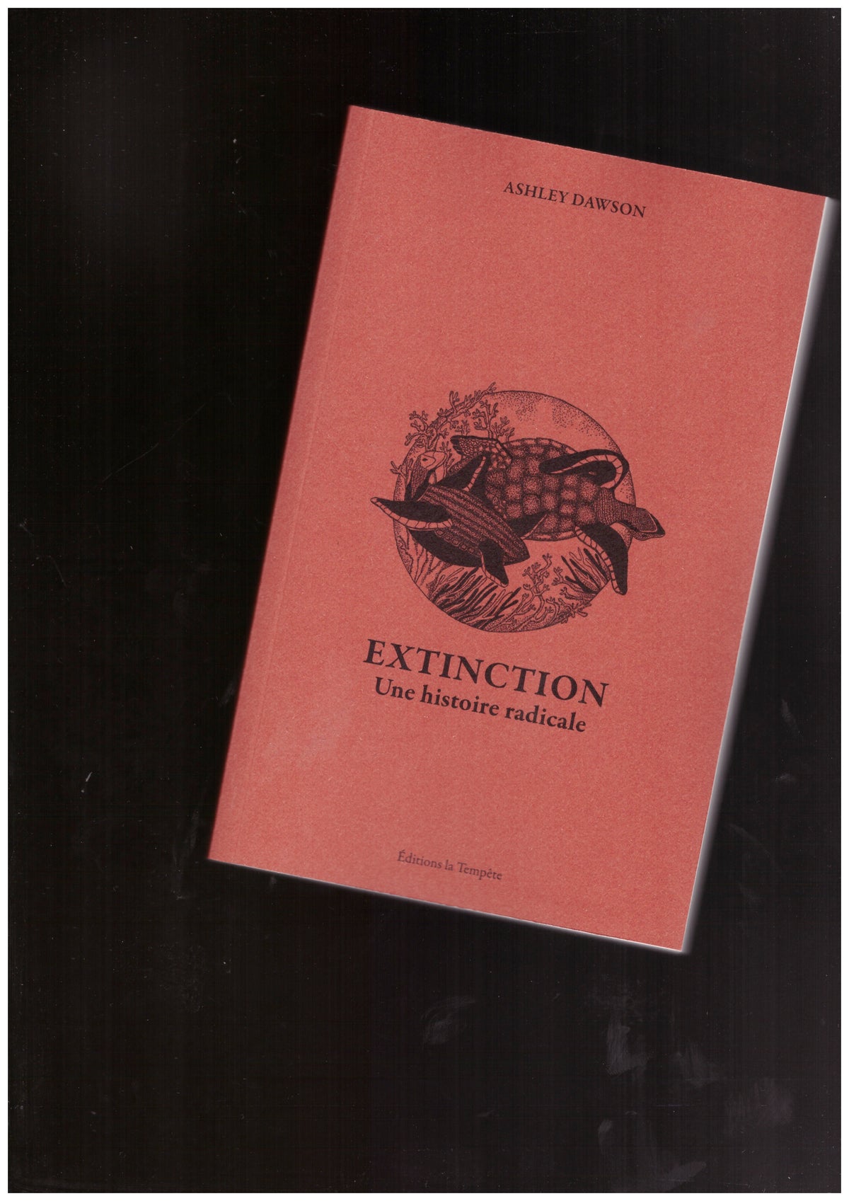 Extinction - Une Histoire Radicale