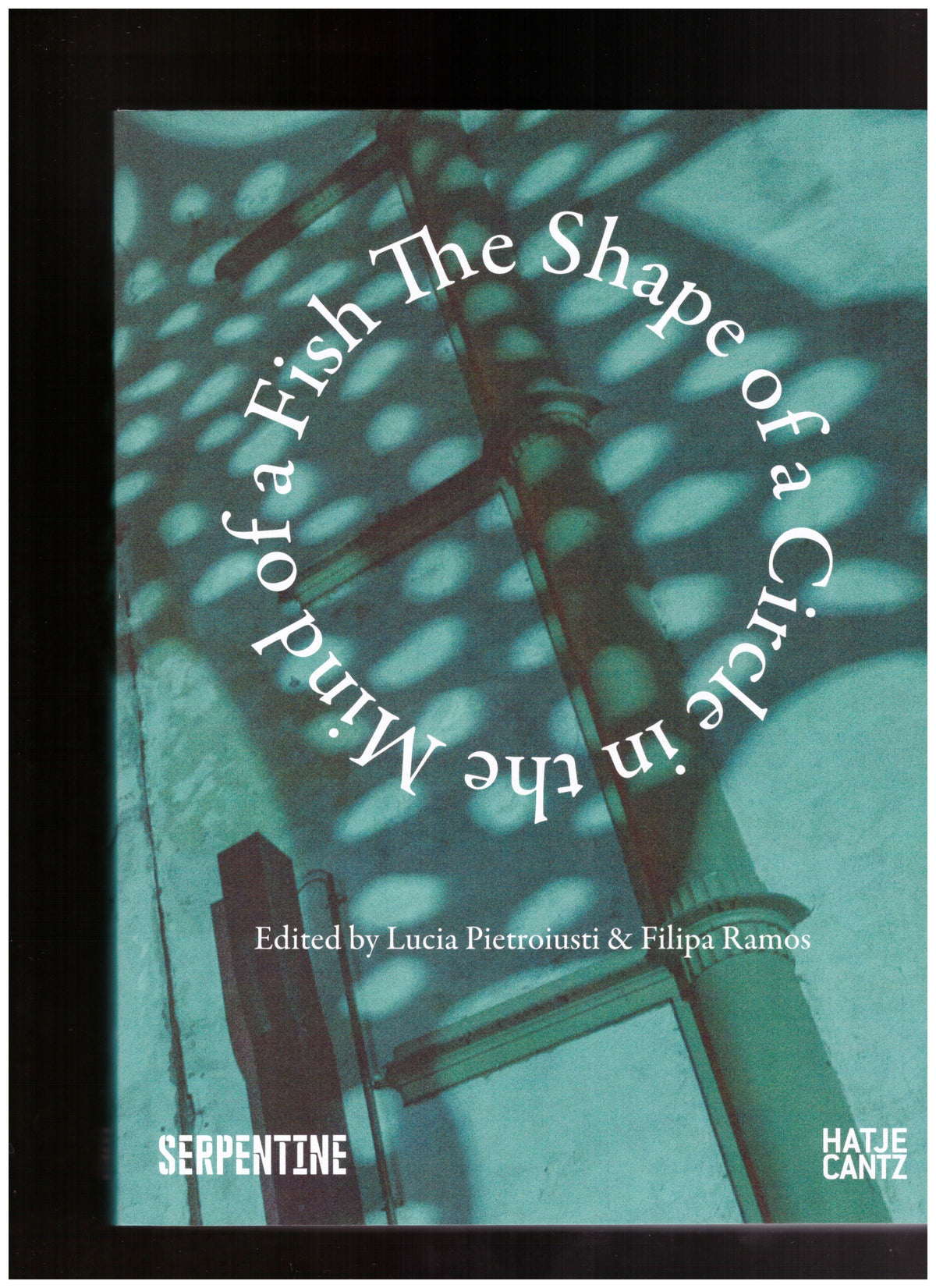 The Shape of a Circle in the Mind of a Fish