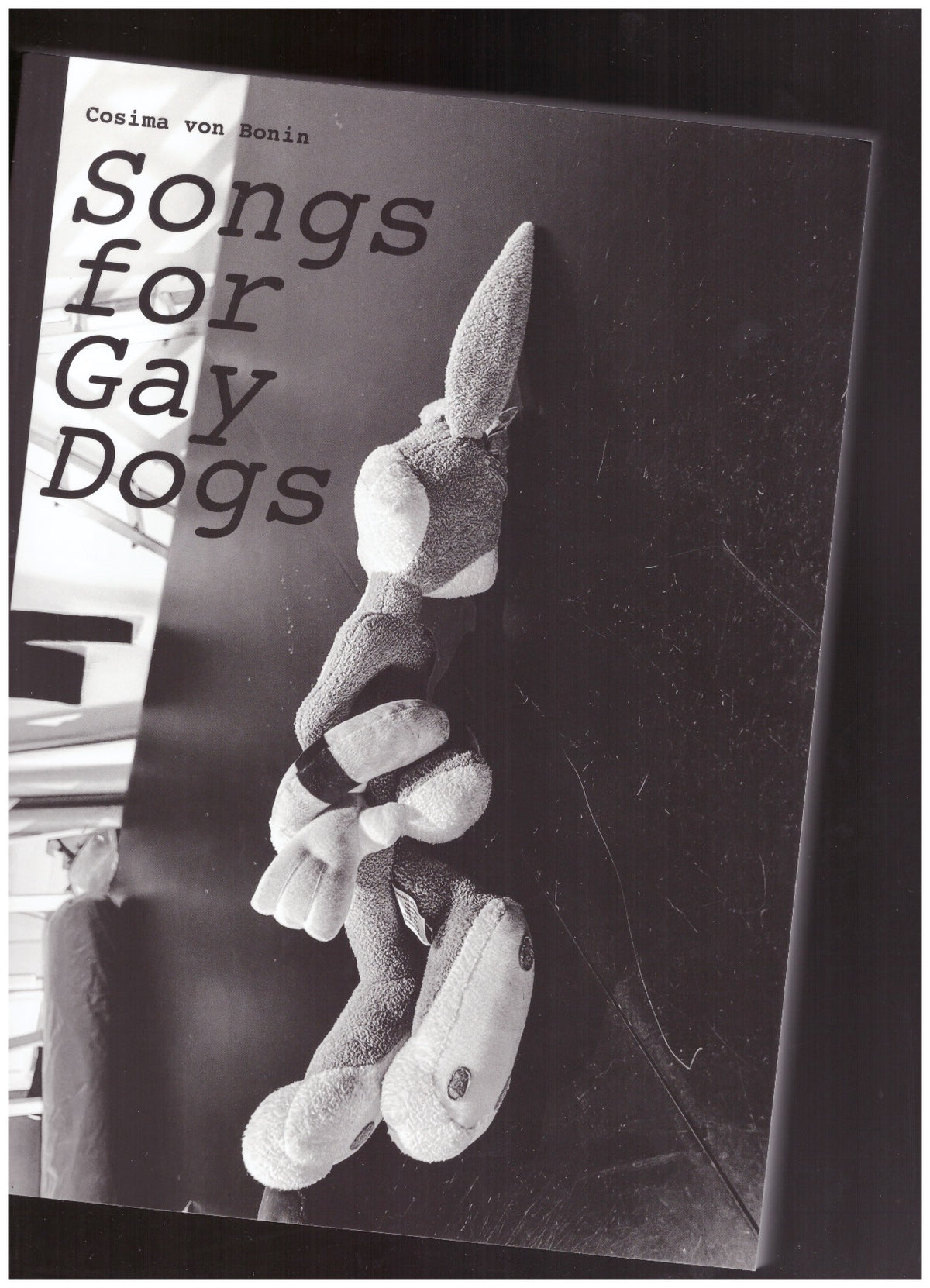 Cosima von Bonin. Songs for Gay Dogs