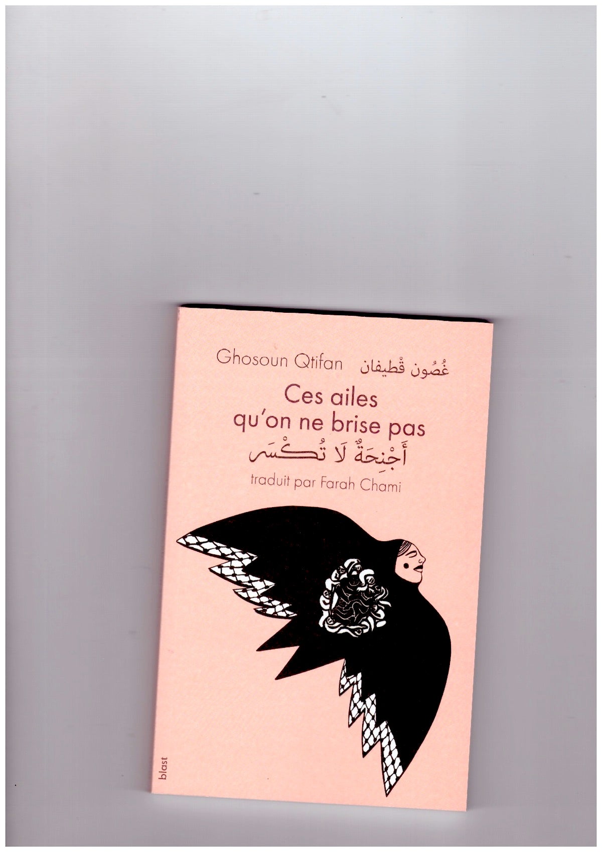 Ces ailes qu’on ne brise pas