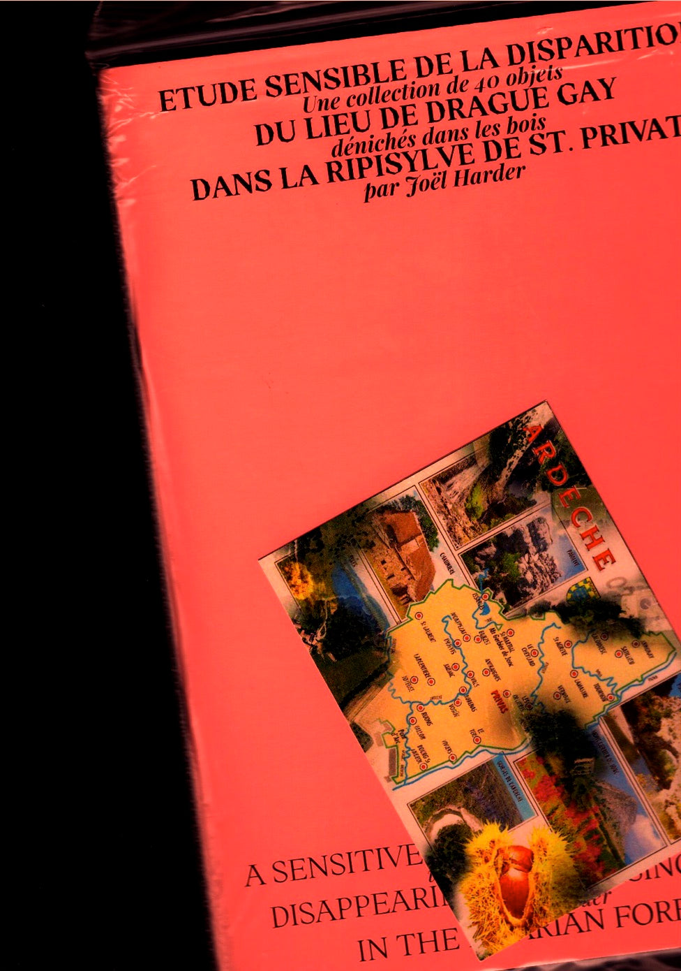 Etude sensible de la disparition du lieu de drague gay dans la Ripisylve de St. Privat / Sensitive Study of the Disappearing Gay Cruising Scene in the Ripparian Forest
