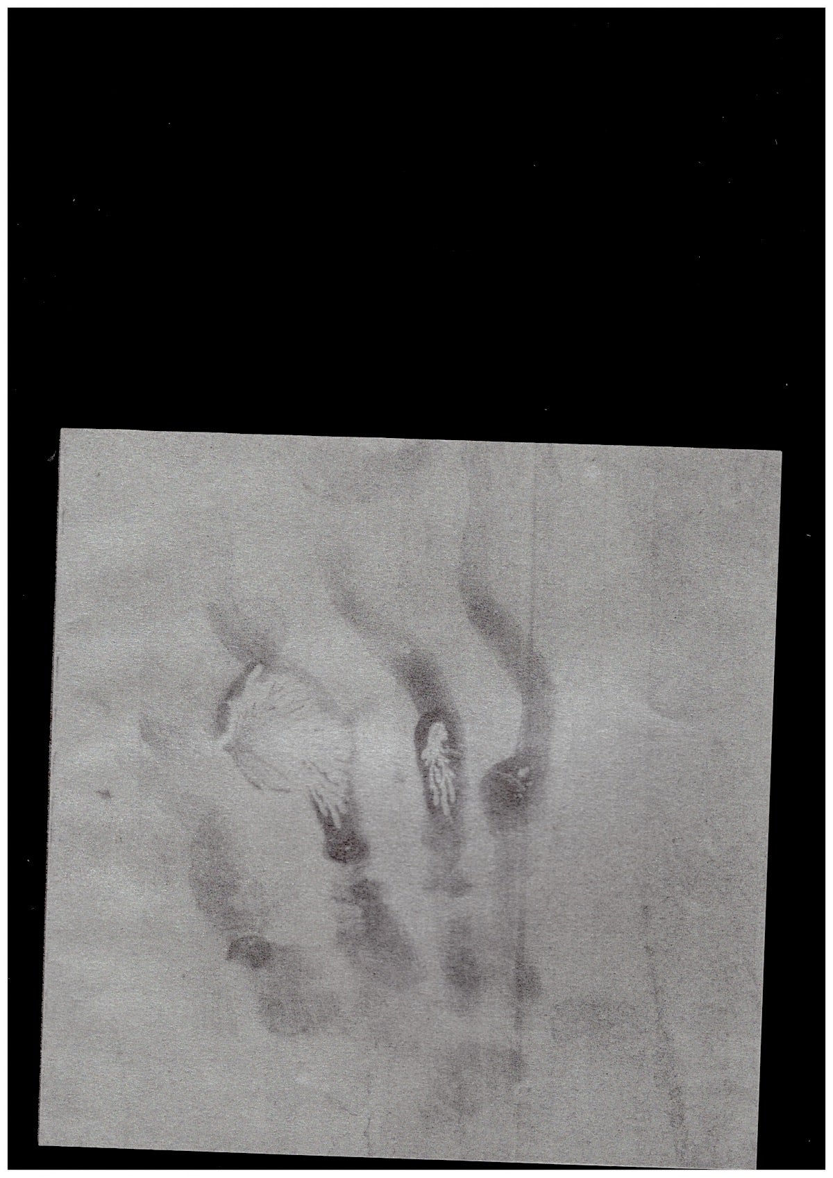 Heliogram (book + flexi disc)