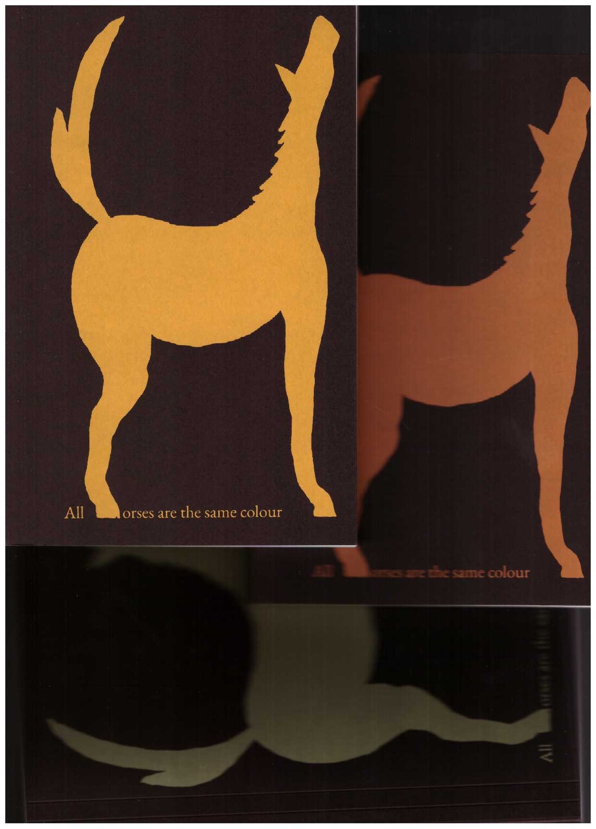 All horses are the same colour
