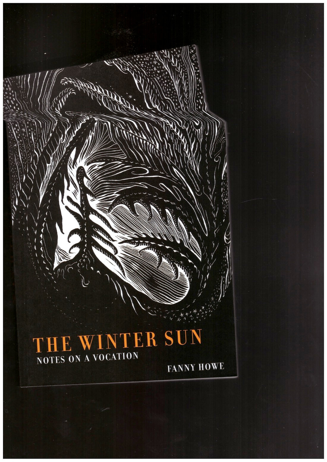 The Winter Sun. Notes on a Vocation