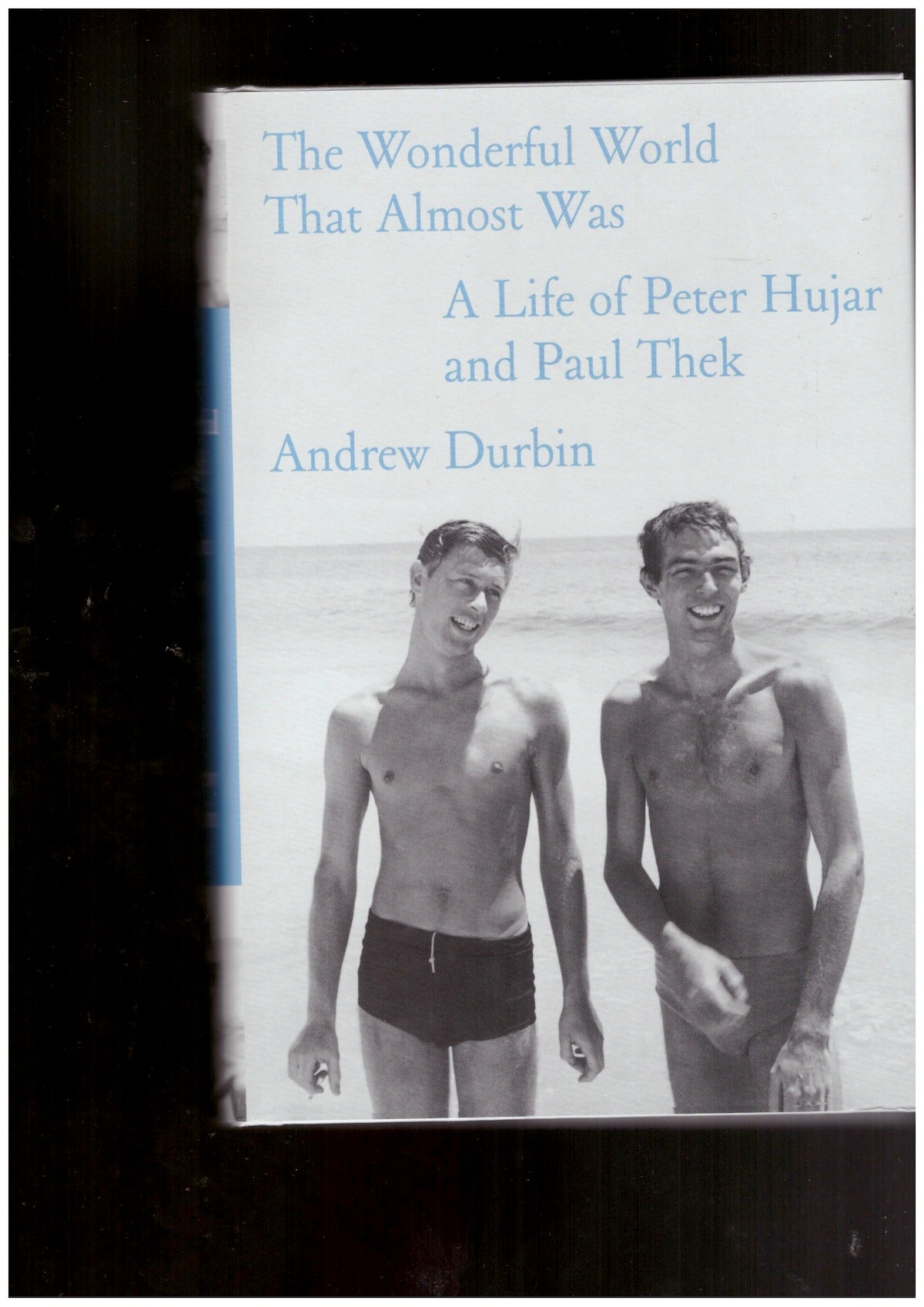 The Wonderful World That Almost Was: A Life of Peter Hujar and Paul Thek
