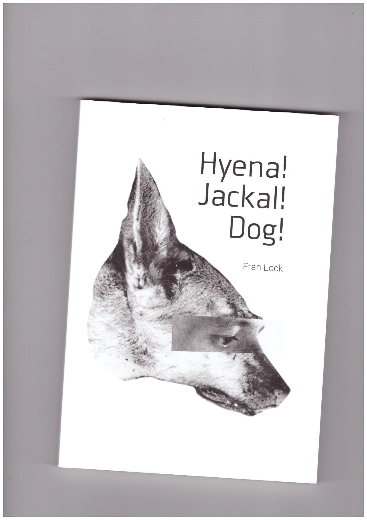 Hyena! Jackal! Dog!