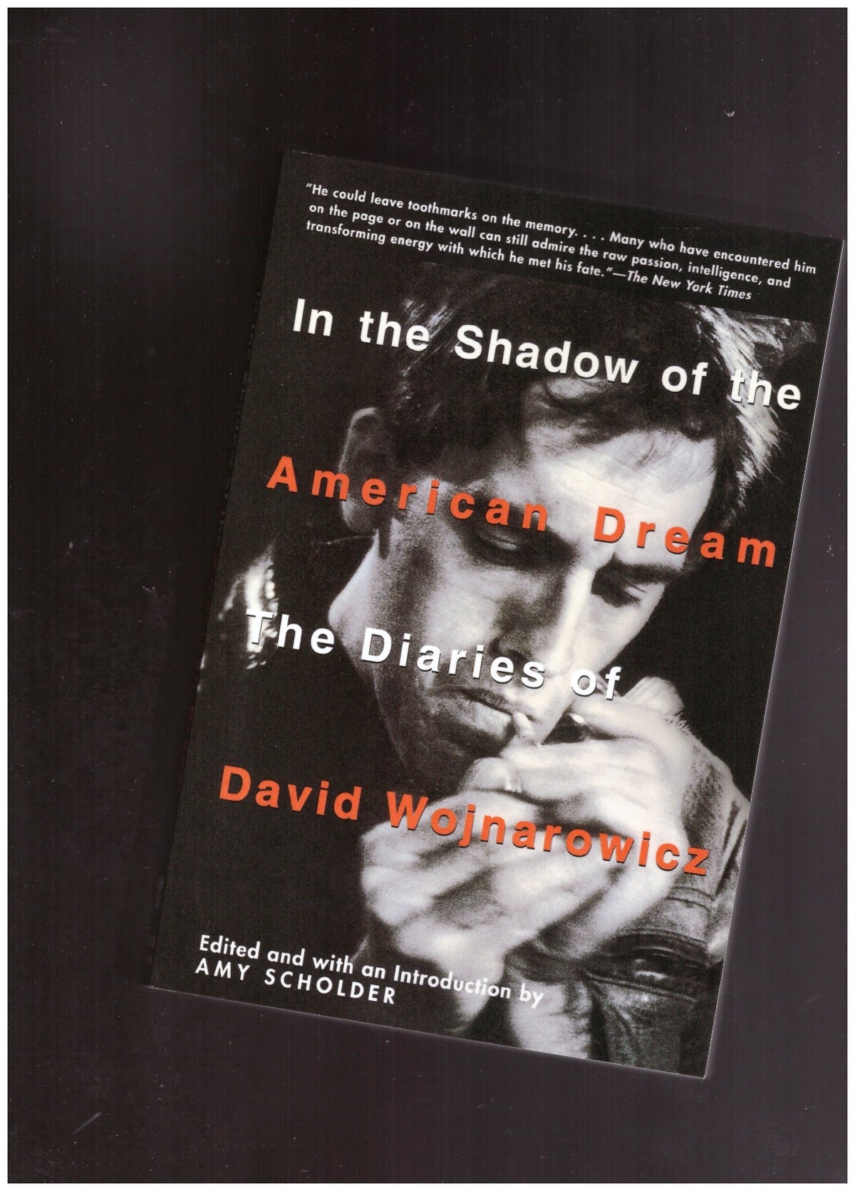 In the Shadow of the American Dream: The Diaries of David Wojnarowicz