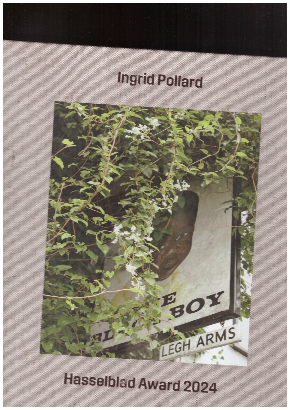 Ingrid Pollard
