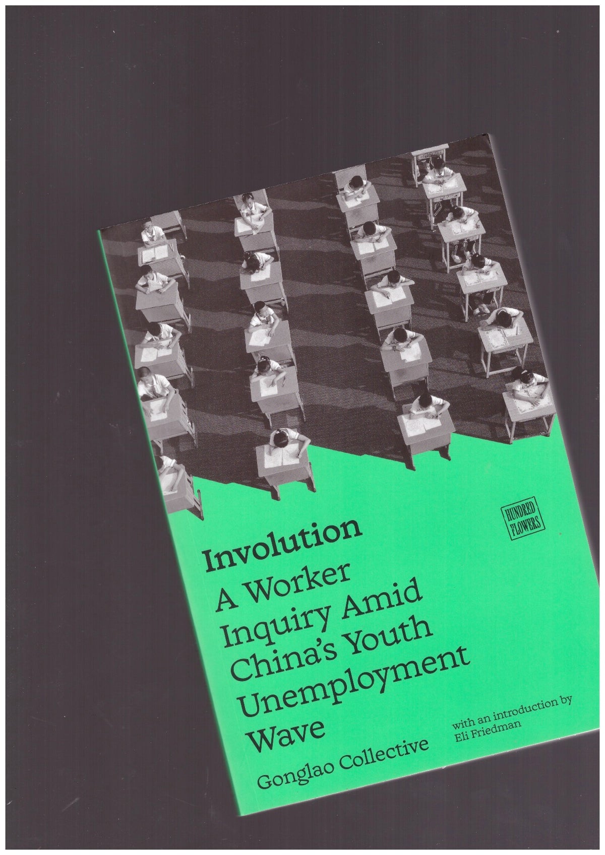 Involution. A Worker Inquiry Amid China's Youth Unemployment Wave