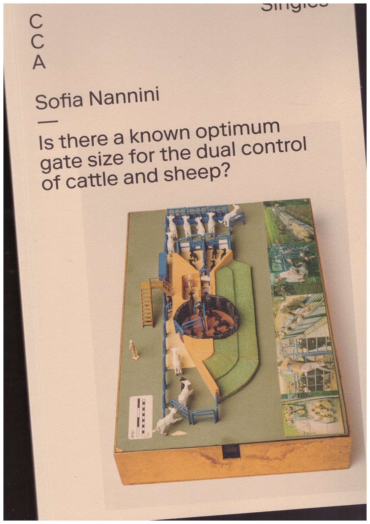 CCA Singles – Is there a known optimum gate size for the dual control of cattle and sheep?