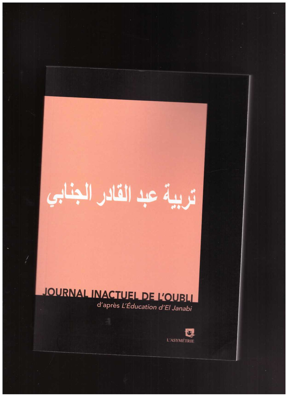 Journal inactuel de l’oubli (d’après L’éducation d’El Janabi)