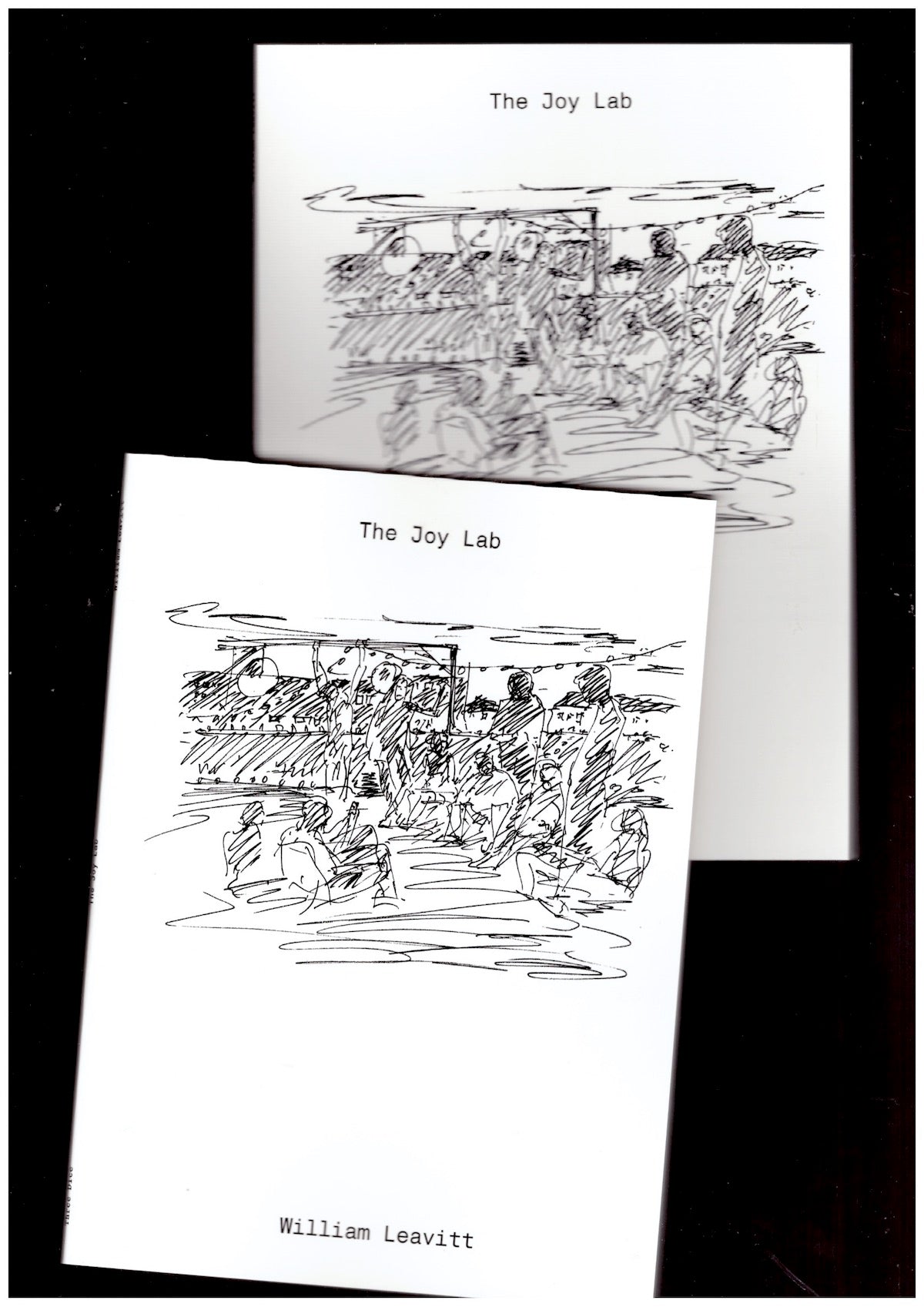 The Joy Lab