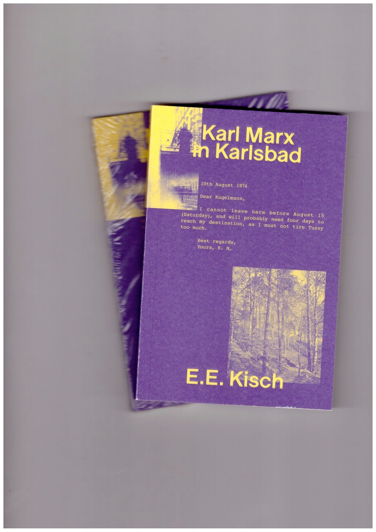 Karl Marx in Karlsbad