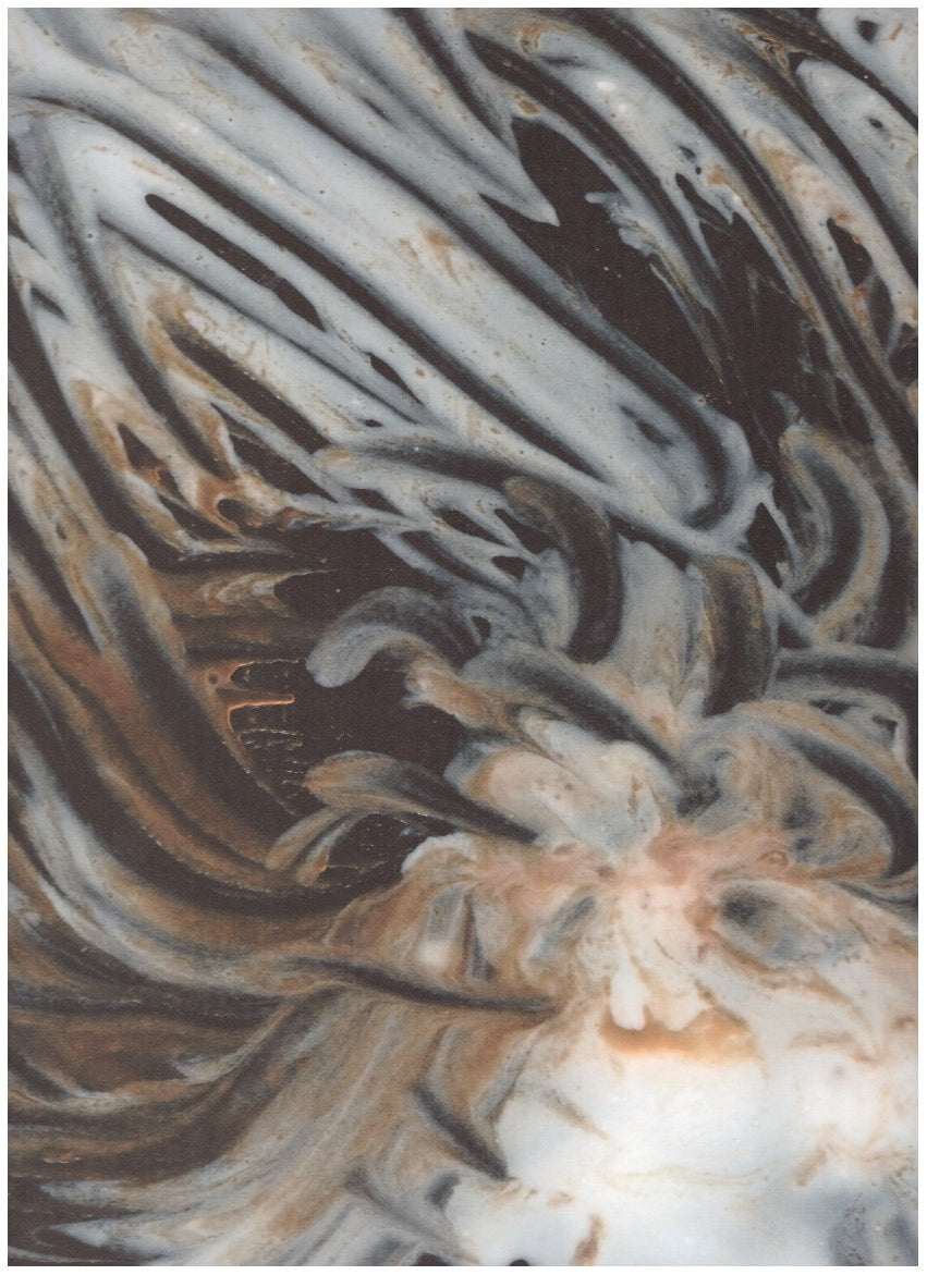 Le Lisse et le Strié
