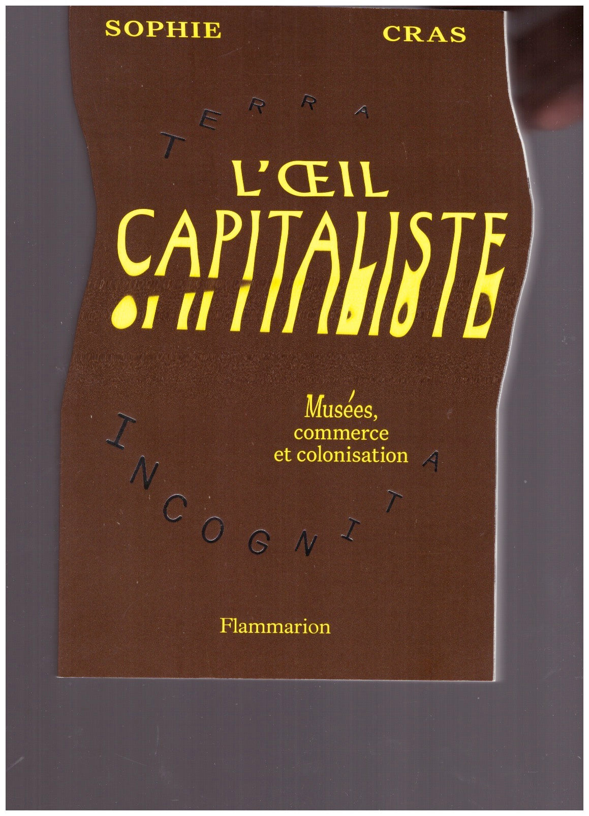 L'oeil capitaliste