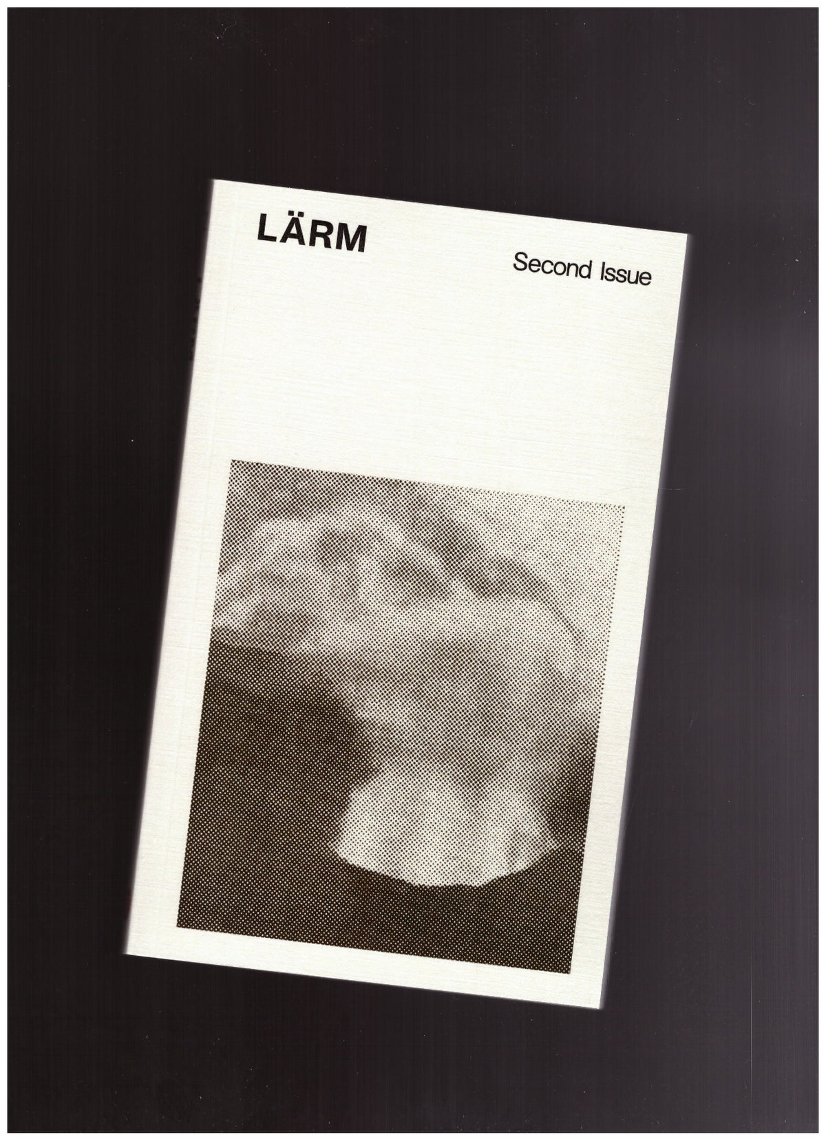 LÄRM #2