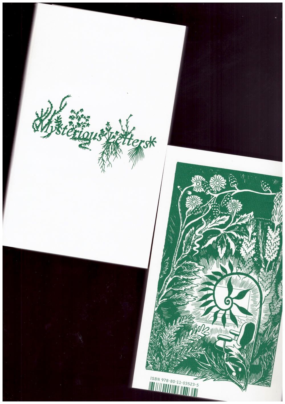 Mysterious Letters: Language, Science, and the Voynich Manuscript