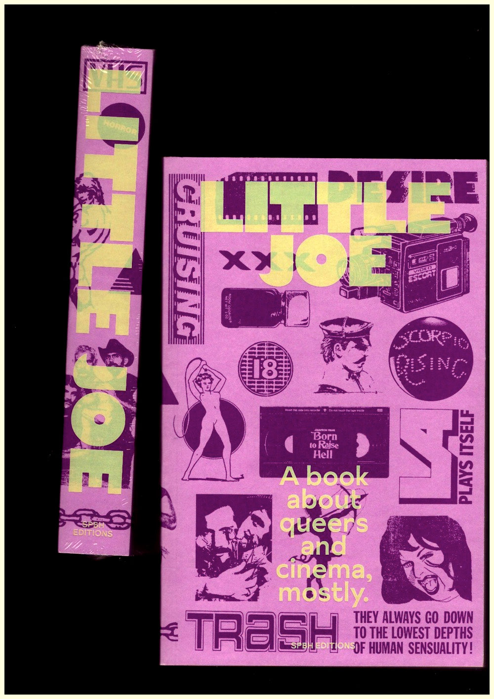 Little Joe. A book about queers and cinema, mostly