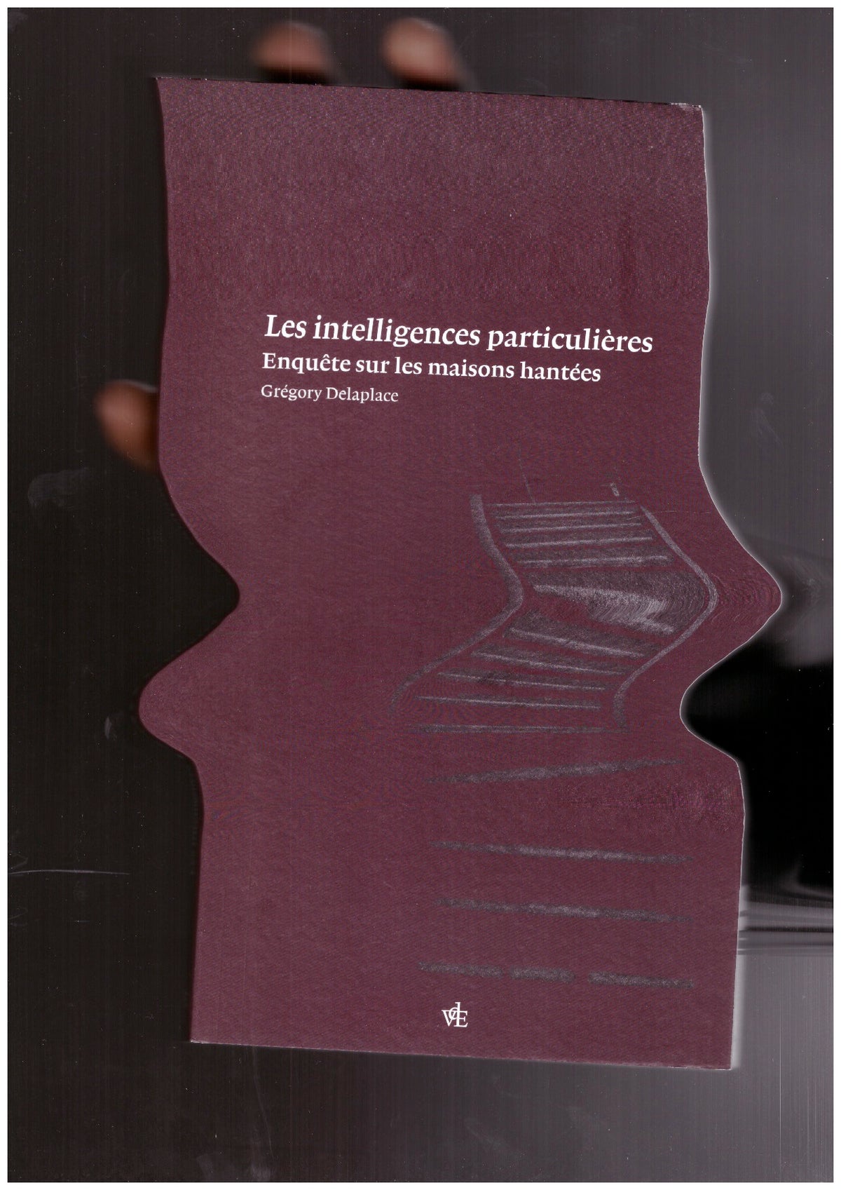 Les intelligences particulières. Enquête sur les maisons hantées