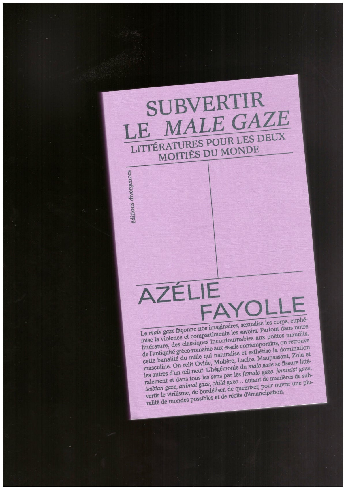 Subvertir le male gaze. Littératures pour les deux moitiés du monde