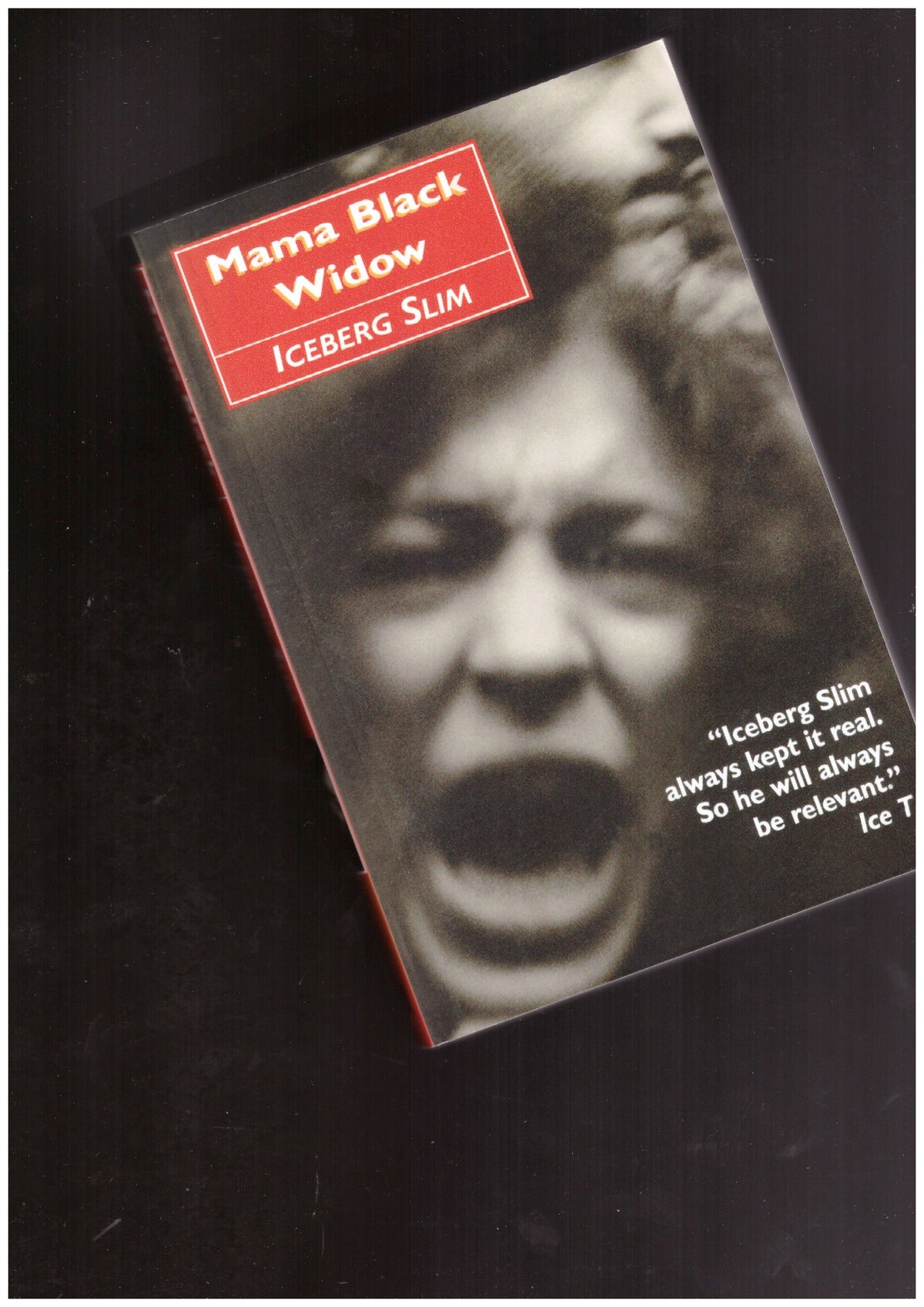 Mama black widow: a story of the south's black underworld