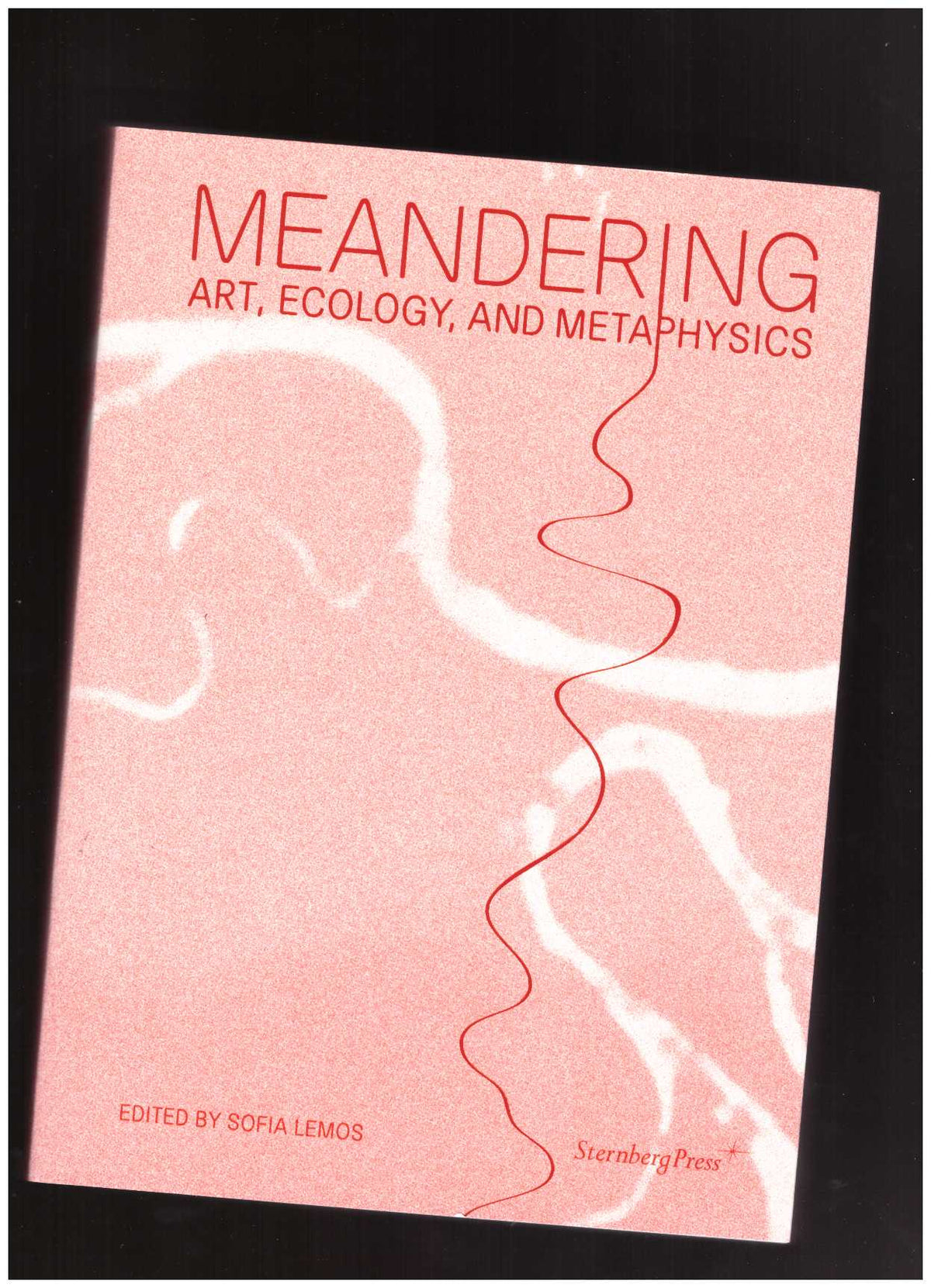 Meandering: Art, Ecology, and Metaphysics