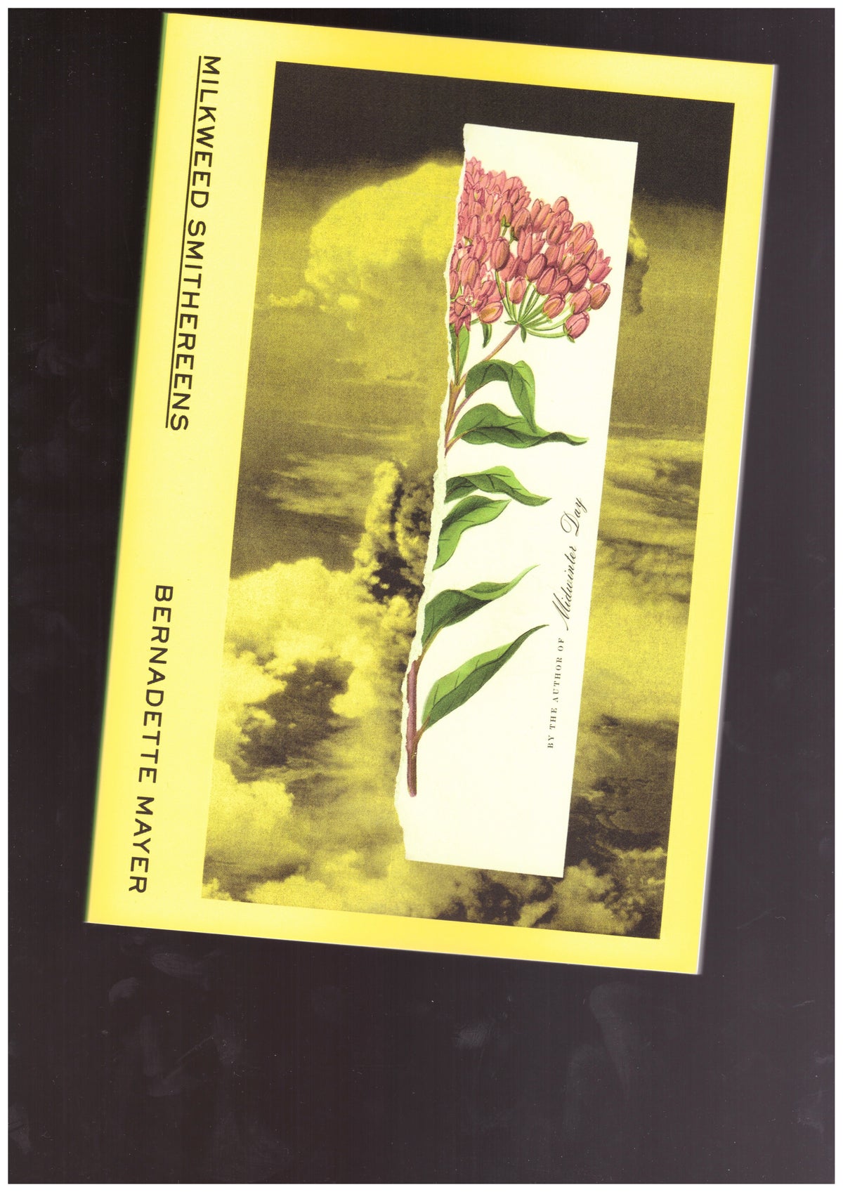 Milkweed Smithereens