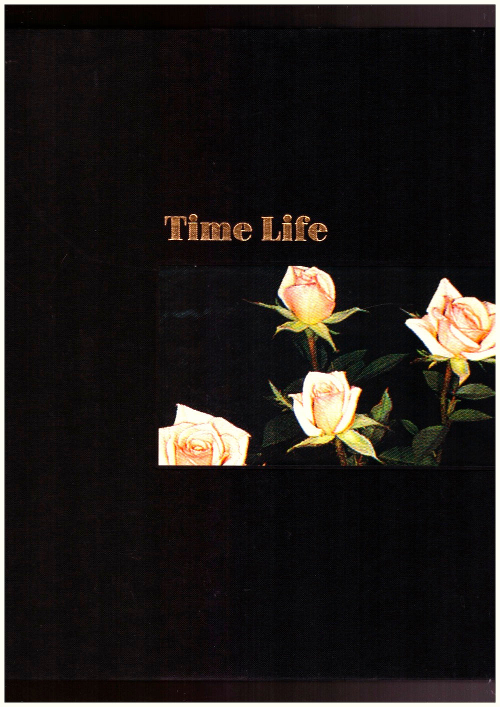 Time Life