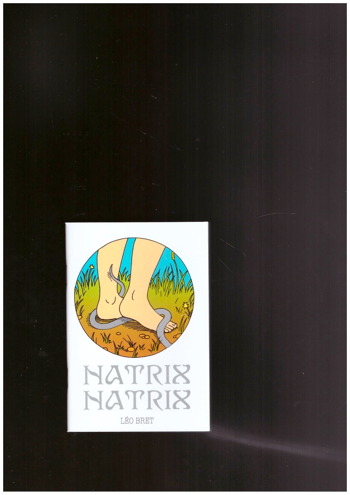 Natrix Natrix