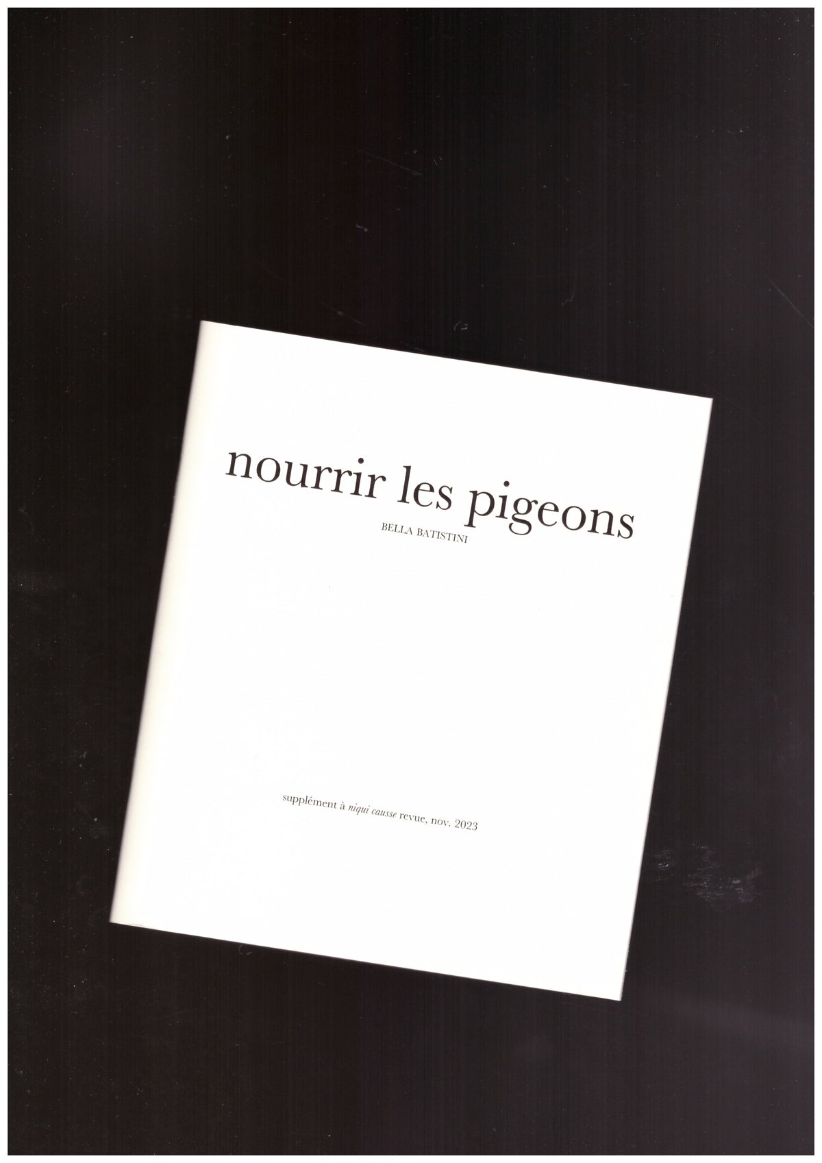 nourrir les pigeons