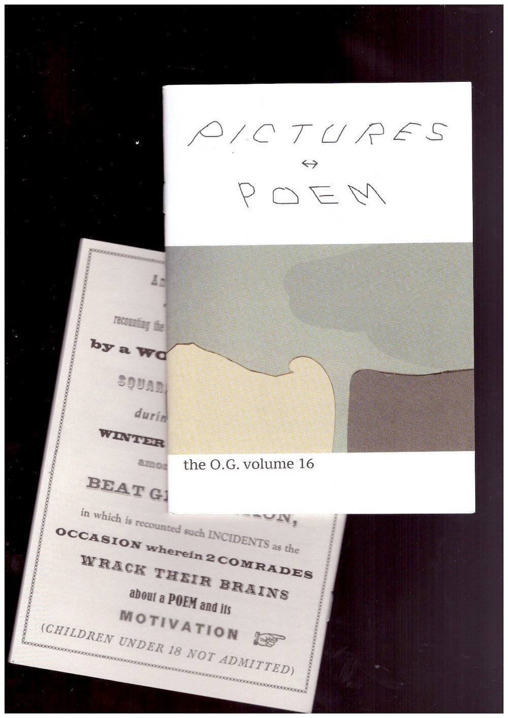 The O.G. Vol. 16 : Pictures ↔︎ Poem